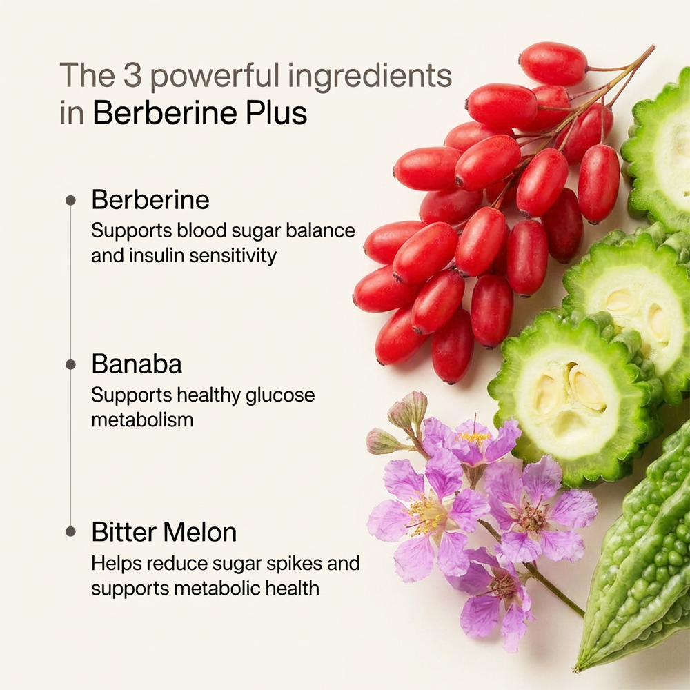 BERBERINE PLUS