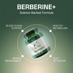 BERBERINE PLUS